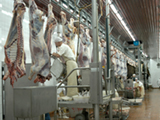 Москва сократила импорт мяса до 66% 