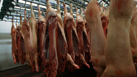 Мировые цены на свинину продолжают расти
