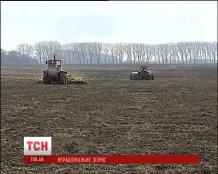 Украина рискует лишиться урожая из-за массовой подделки семян и пестицидов
