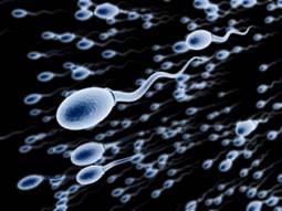 Диета для улучшения качества спермы