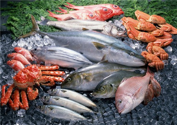 Признаки доброкачественной рыбы и продуктов из рыбы