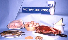 Протеин и потребность в нем