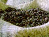 Цены на какао снижаются впервые за два месяца 