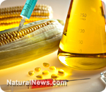 ГМО – возможная причина эпидемии почечной недостаточности