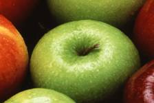 Польза яблок для здоровья