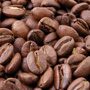 Kraft Foods открывает в Ленинградской области завод по производству кофе  