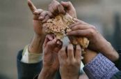 В Египте в драке за хлеб погибли люди
