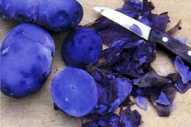 В Великобритании продается фиолетовая модифицированная картошка