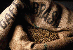Страны, производящие кофе. Бразилия