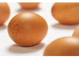 Цены на яйца перед Пасхой начали расти 