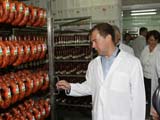 Медведев озаботился мясным импортом 