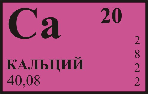 Норма потребления кальция. Продукты, содержащие кальций