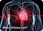 Кальциевые войны: дефицит магния вызывает заболевания сердца