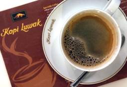 Самый дорогой кофе «Копи Лювак»