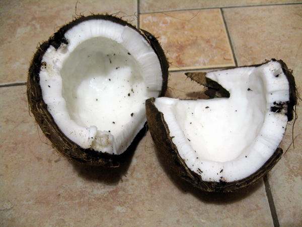 Рецепты с кокосом