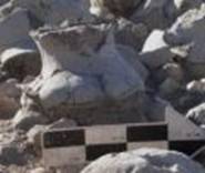 В Мексике нашли посуду с кремированными останками