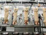 Чиновники опровергли данные о зараженном мясе в Сибири 