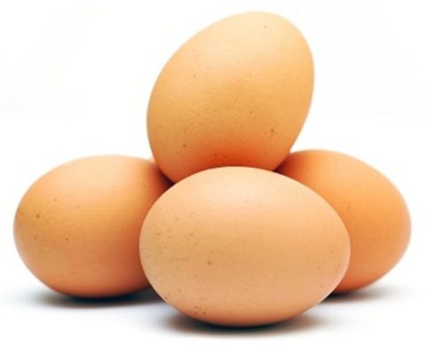 Яйца: Виды яиц, способы варки яиц, яйца-пашот, яичница. Омлет