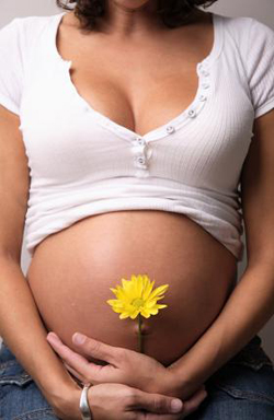 Цинк в питании беременной женщины
