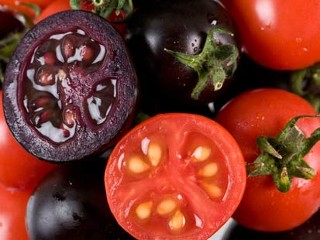 ht_purple-tomatoes_081027_mn.jpg