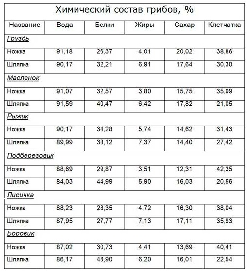состав грибов