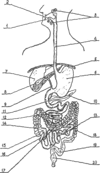 image002.png