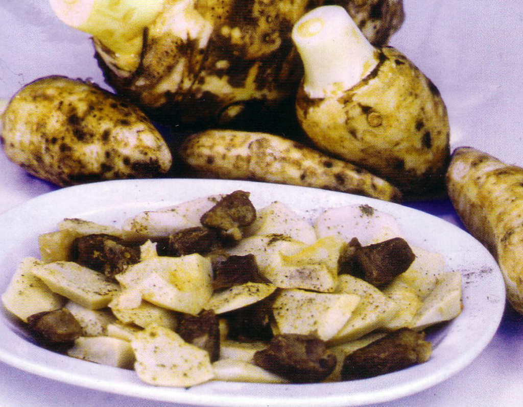 колоказия
