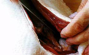 С помощью острого ножа вырежьте филе грудки из утки и отложите.