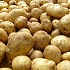 Вейонис: в Латвии не должно быть ГМ-картофеля 