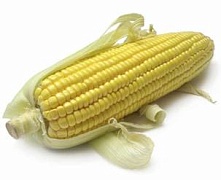 В Грузии разгорается кукурузный скандал