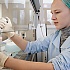  В Запорожье запретили продажу масла одного из ведущих предприятий