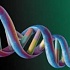 Обнаружен ген голода - KSR2