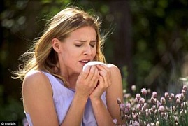 В Великобритании ожидают рост аллергии на пыльцу