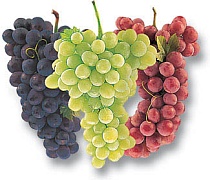 Виноград и здоровые привычки питания