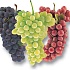 Виноград и здоровые привычки питания