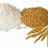 Характеристика и сорта пшеничной муки
