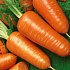 Консервируем морковь