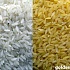 Амбициозный «золотой» рис