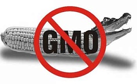 Три правила, как не наесться ГМО