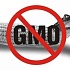 Три правила, как не наесться ГМО