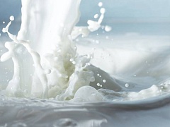 Российское молоко не соответствует зарубежным стандартам