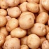 Четыре возраста картошки