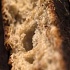 Новое изобретение предохранит хлеб от плесени 60 дней