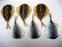 Крупная партия заражённой сушёной рыбы изъята в Приморье