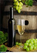 Аукцион  Hospices de Beaune предложит более 750-ти бочек вина 20 ноября