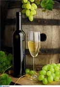 Аукцион  Hospices de Beaune предложит более 750-ти бочек вина 20 ноября
