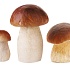 Белые грибы, жаренные в сухарях 
