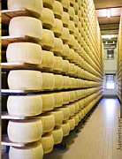 Производство сыра в России увеличилось на 18%