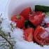 Вместо белков - ГМ-продукты