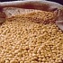 DuPont и Monsanto обменялись ГМО-технологиями